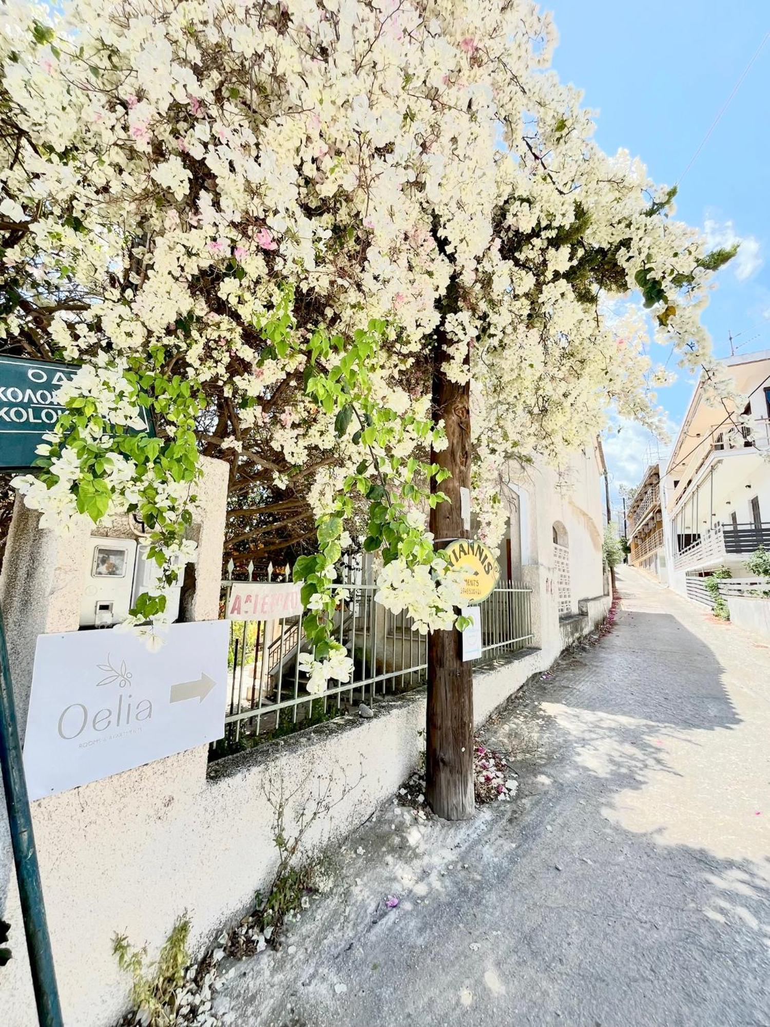 Oelia Rooms & Apartments Agia Marina  외부 사진